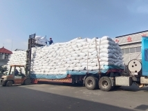 把握機(jī)遇、鉚足干勁、承勢(shì)而上